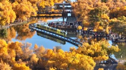 胡杨林景区在哪里 胡杨林景区在哪里