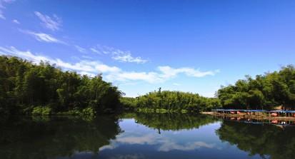 竹海在哪里 竹海在哪里